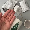 گلدان به همراه خاک و بذر کاج نروژی چیبو