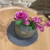 زیر بشقابی قیطونی دایره