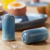 نمکدان چینی دو رنگ چیبو 2 عددی