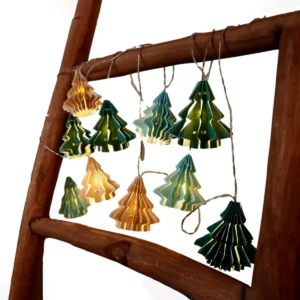 ریسه درختچه صنوبر چیبو