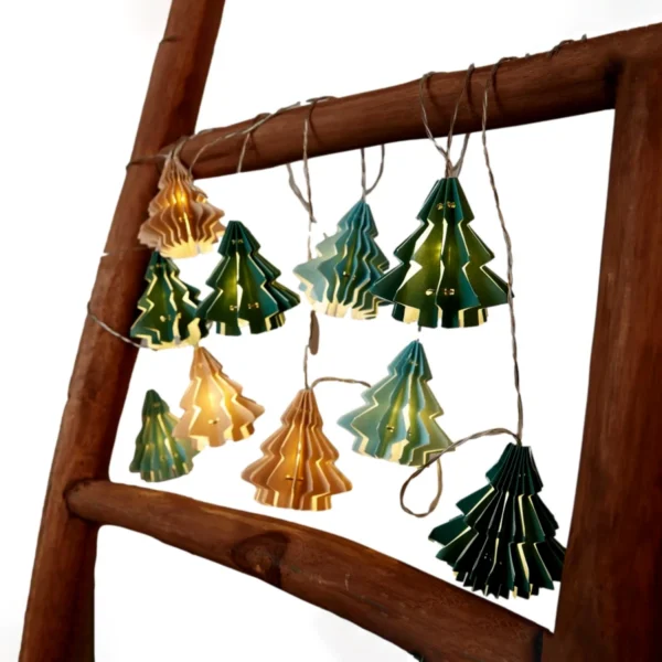 ریسه درختچه صنوبر چیبو